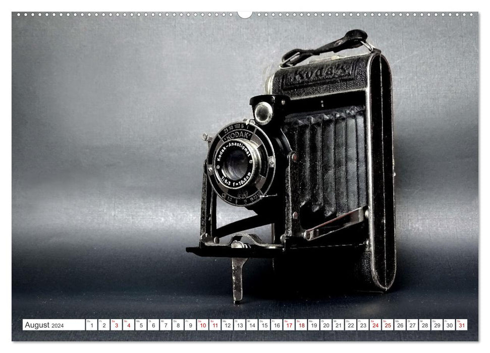 Balgen- und Boxkameras - Analoge Erinnerungsstücke (CALVENDO Premium Wandkalender 2024)