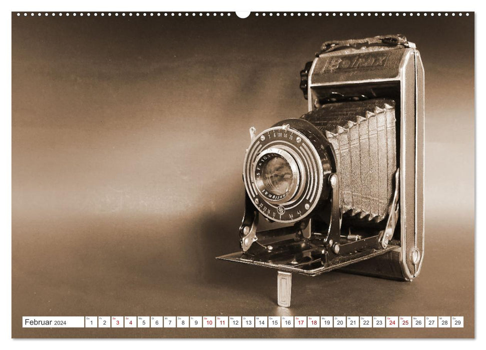 Fotokameras - alt und schön (CALVENDO Wandkalender 2024)
