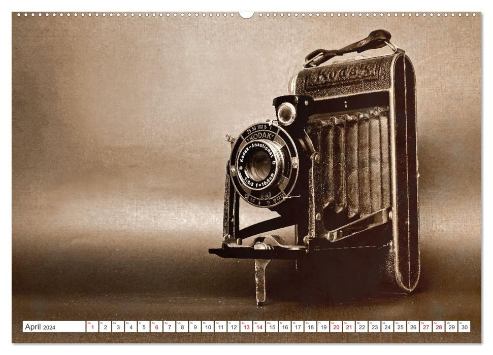 Fotokameras - alt und schön (CALVENDO Premium Wandkalender 2024)