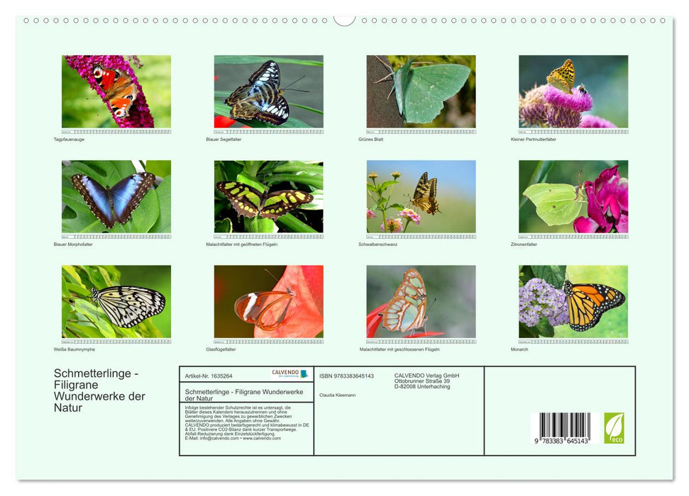 Schmetterlinge - Filigrane Wunderwerke der Natur (CALVENDO Premium Wandkalender 2024)