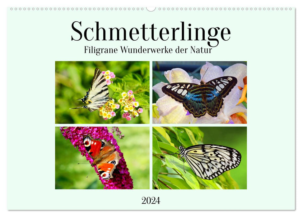 Butterflies - Filigree wonders of nature (CALVENDO wall calendar 2024) 