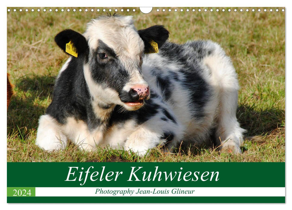 Eifeler Kuhwiesen (CALVENDO Wandkalender 2024)