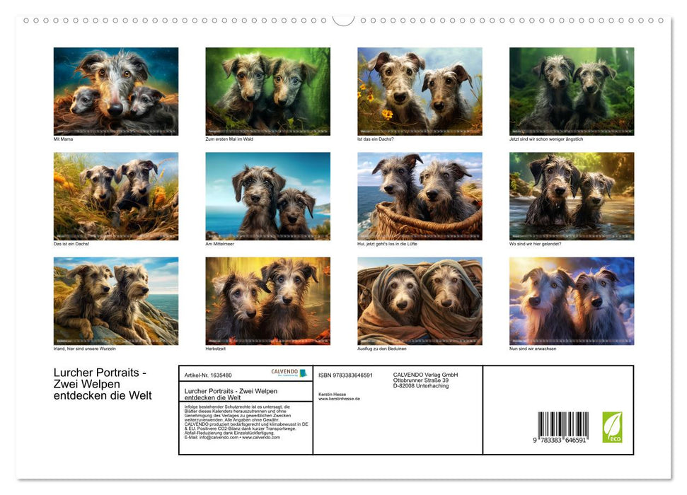 Lurcher Portraits - Zwei Welpen entdecken die Welt (CALVENDO Premium Wandkalender 2024)