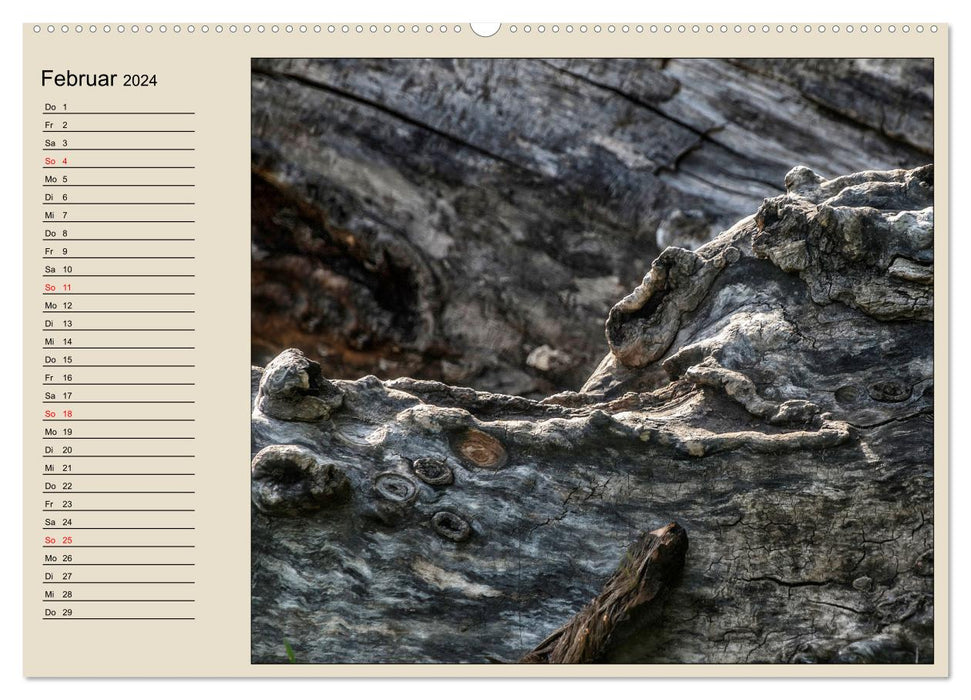 Naturformen, Blatt, Holz, Fels (CALVENDO Premium Wandkalender 2024)