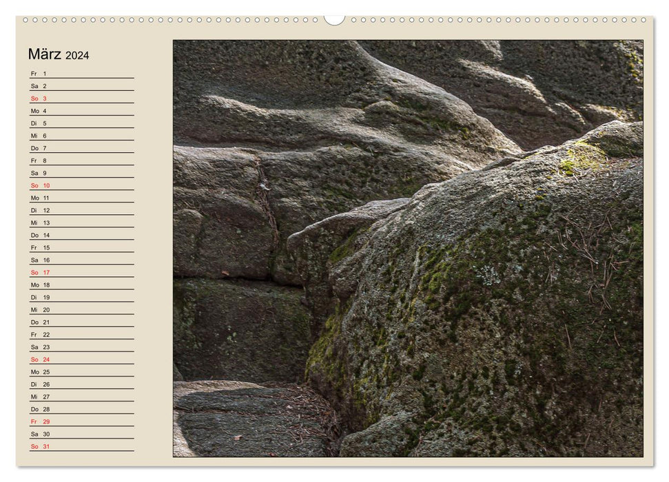 Naturformen, Blatt, Holz, Fels (CALVENDO Premium Wandkalender 2024)