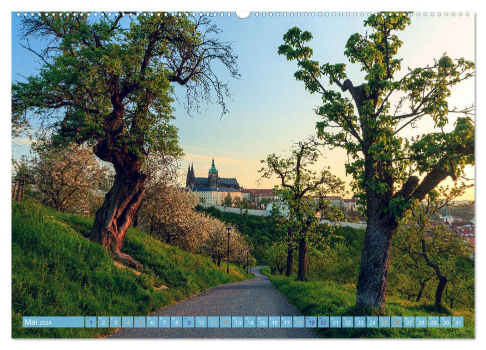 Der Hradschin von Prag (CALVENDO Premium Wandkalender 2024)