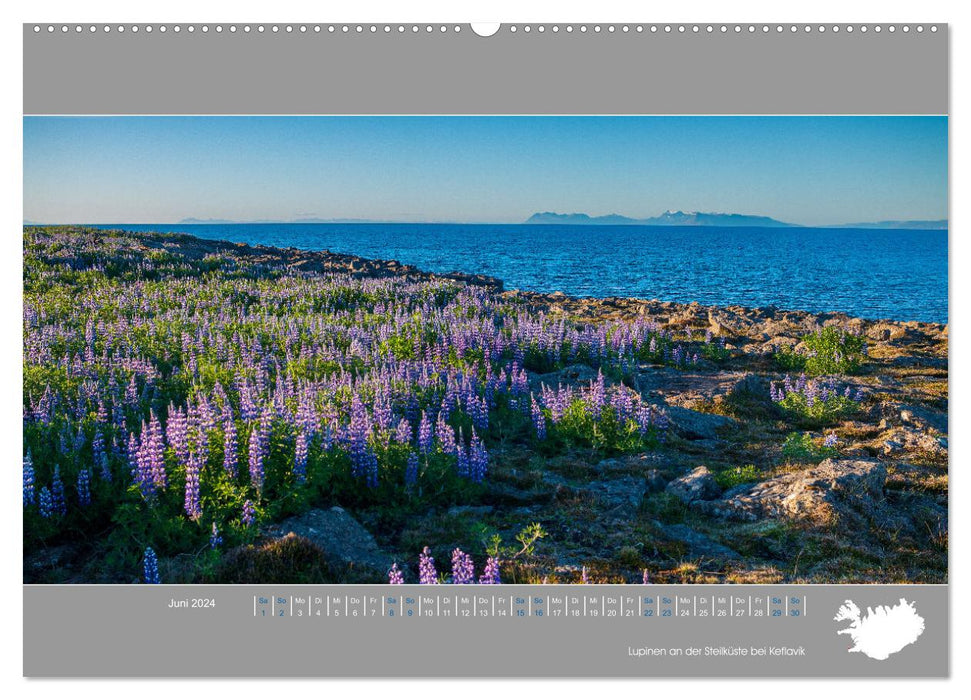 Naturerlebnis Island (CALVENDO Wandkalender 2024)
