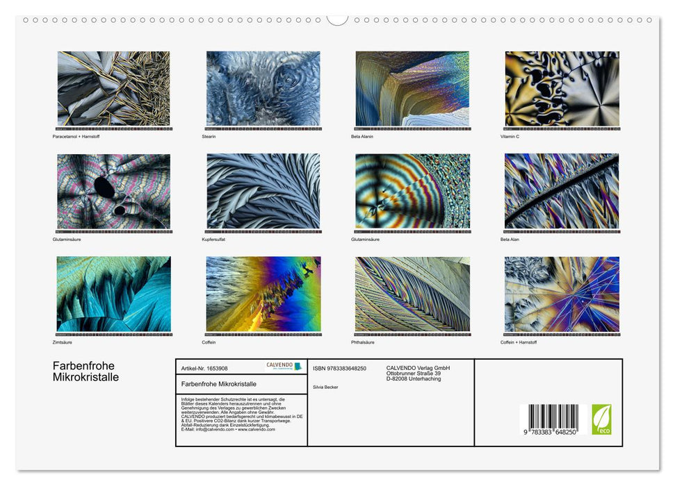 Farbenfrohe Mikrokristalle (CALVENDO Premium Wandkalender 2024)