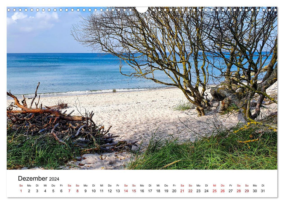 Fischland-Darß-Zingst - Fantastic Baltic Sea landscapes (CALVENDO wall calendar 2024) 