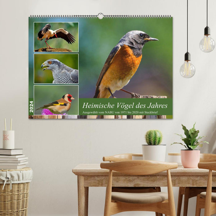 Oiseaux locaux de l'année (calendrier mural CALVENDO 2024) 