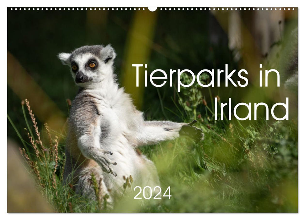 Tierparks in Irland (CALVENDO Wandkalender 2024)