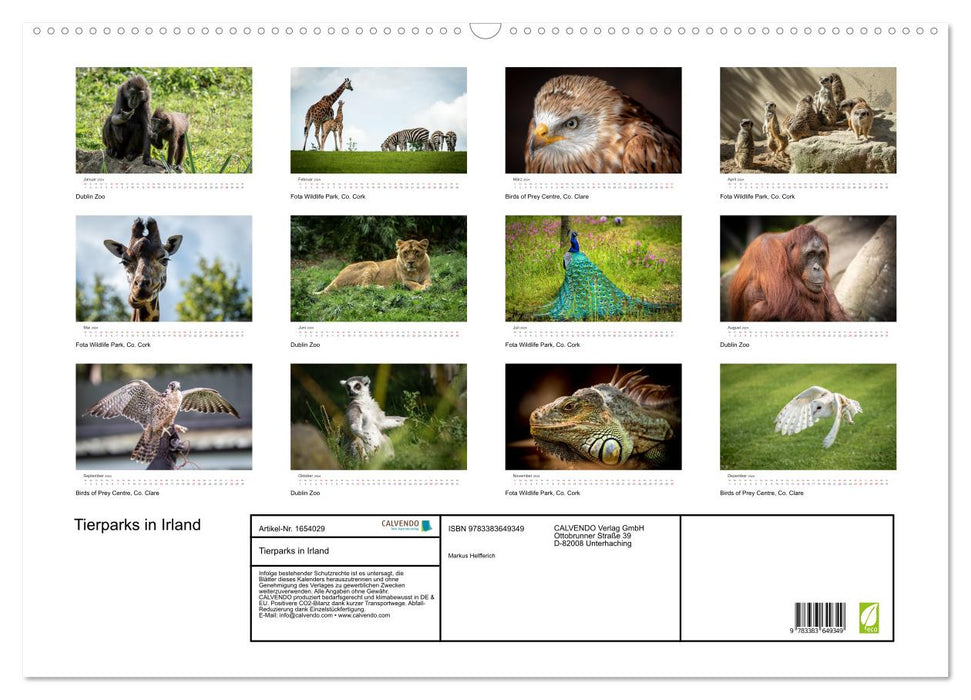 Animal parks in Ireland (CALVENDO wall calendar 2024) 