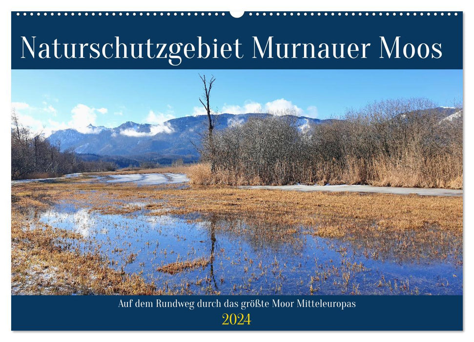 Naturschutzgebiet Murnauer Moos - Auf dem Rundweg durch das größte Moor Mitteleuropas (CALVENDO Wandkalender 2024)