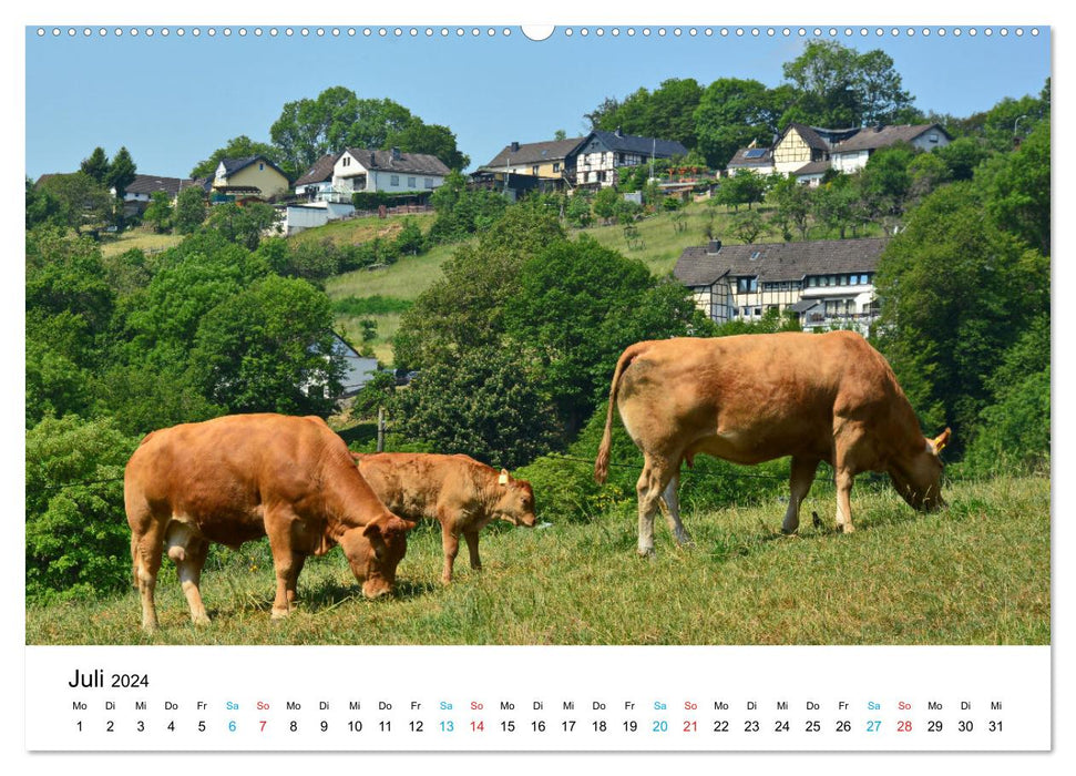 Dedenborn in der Eifel (CALVENDO Premium Wandkalender 2024)