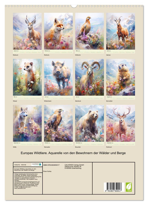 Europas Wildtiere. Aquarelle von den Bewohnern der Wälder und Berge (CALVENDO Premium Wandkalender 2024)