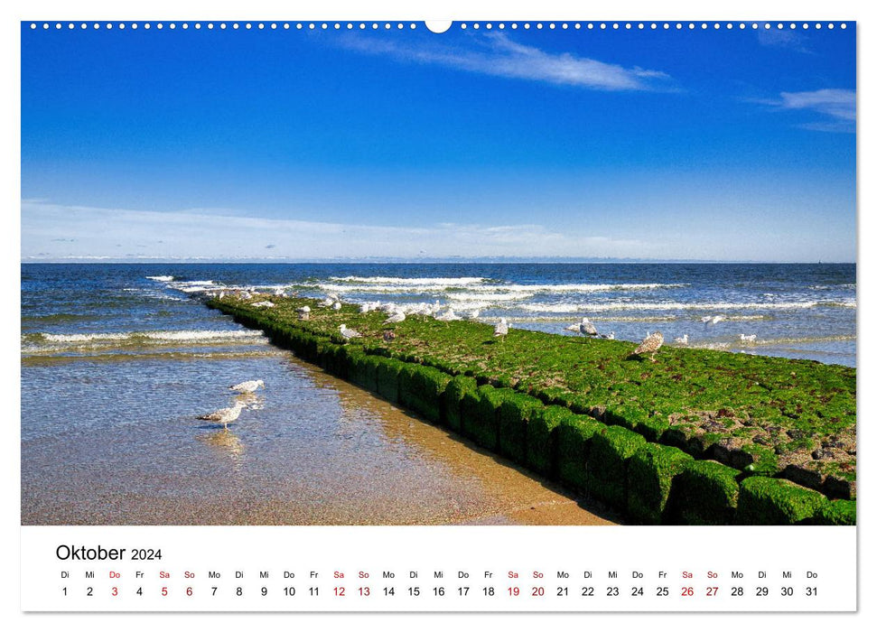 Norderney Paradise in the North Sea (CALVENDO Premium Wall Calendar 2024) 