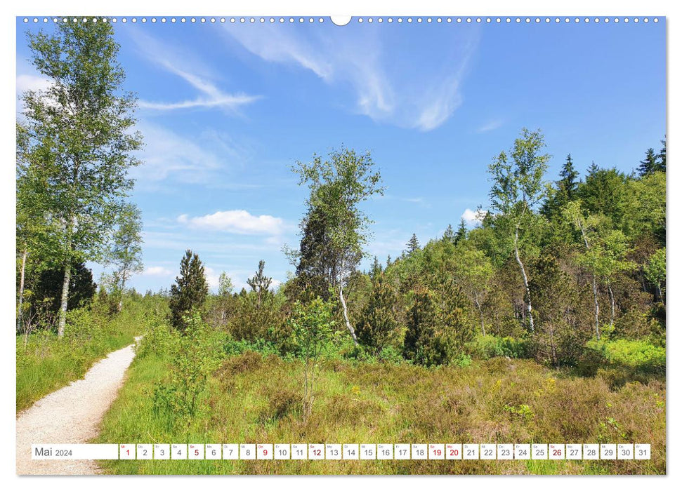 Naturschutzgebiet Murnauer Moos - Auf dem Rundweg durch das größte Moor Mitteleuropas (CALVENDO Premium Wandkalender 2024)