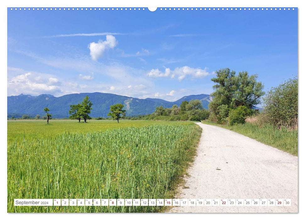 Murnauer Moos Nature Reserve - On the circular route through the largest moor in Central Europe (CALVENDO Premium Wall Calendar 2024) 