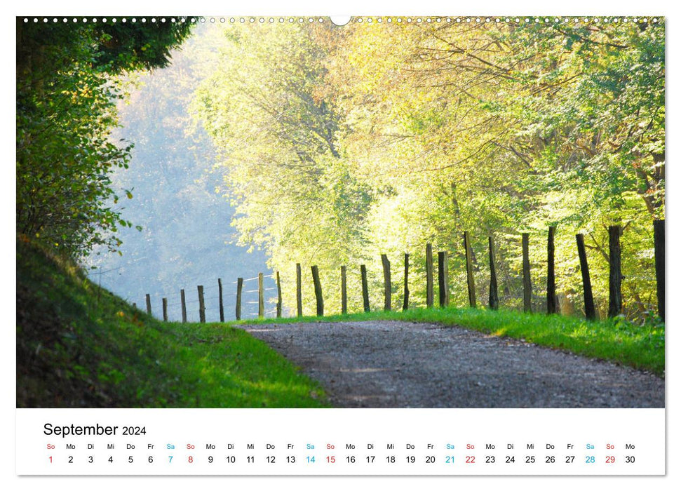Dedenborn in the Eifel (CALVENDO wall calendar 2024) 