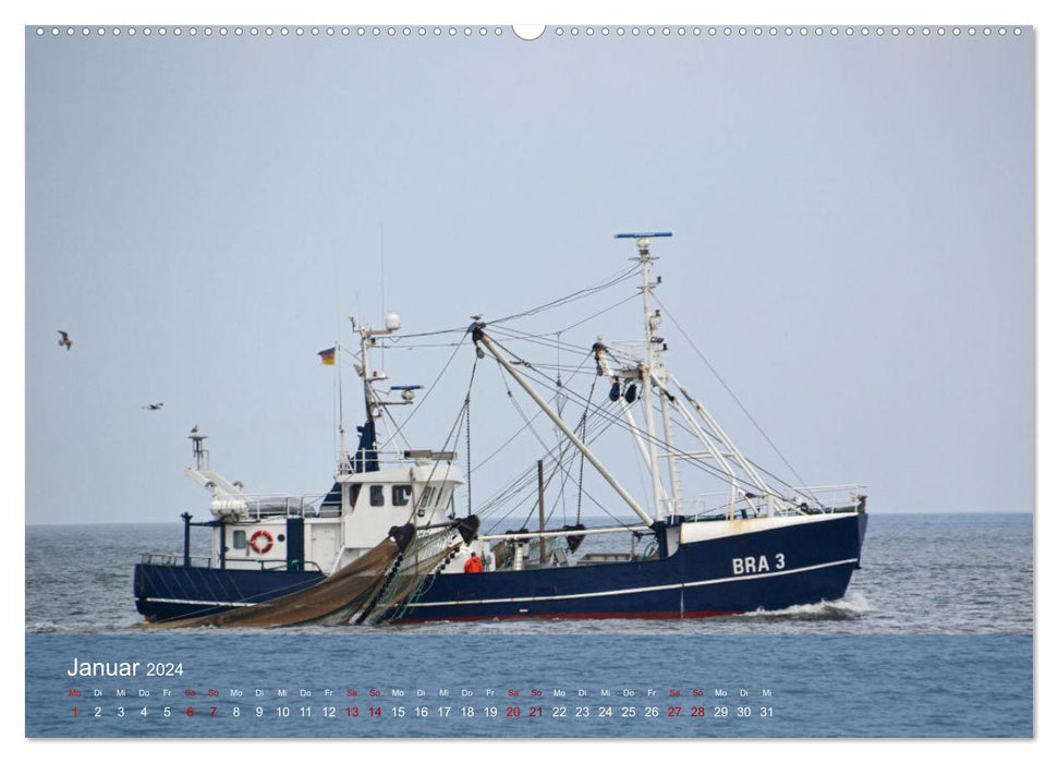 North Sea shrimp boat (CALVENDO wall calendar 2024) 