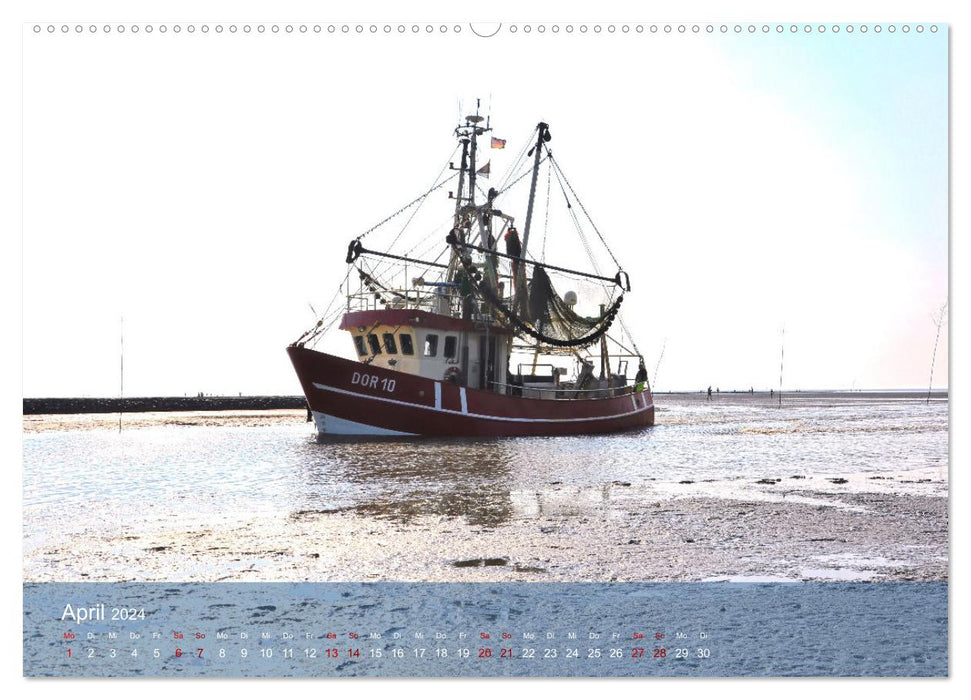 North Sea shrimp boat (CALVENDO wall calendar 2024) 