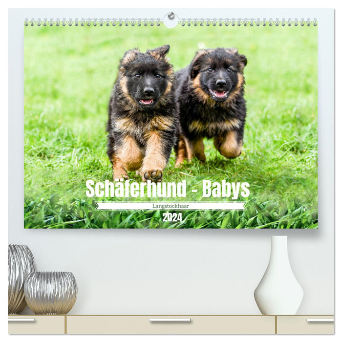 Langstockhaar - Schäferhund - Babys (CALVENDO Premium Wandkalender 2024)