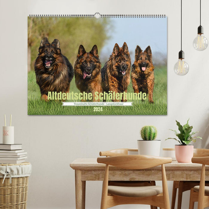 Old German Shepherd Dogs - Dreamlike Shepherd Dogs with Long Hair (CALVENDO Wall Calendar 2024) 