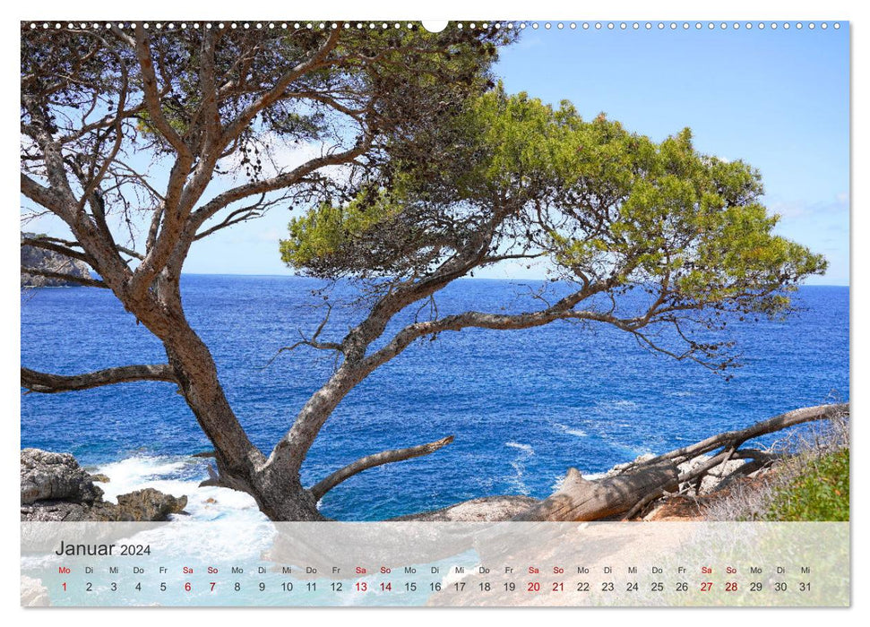 Cala Deia - Mallorca's dream bay (CALVENDO wall calendar 2024) 