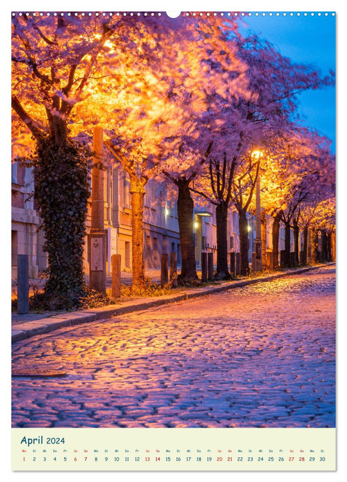 Halle/Saale - Meine Stadt im Licht (CALVENDO Premium Wandkalender 2024)