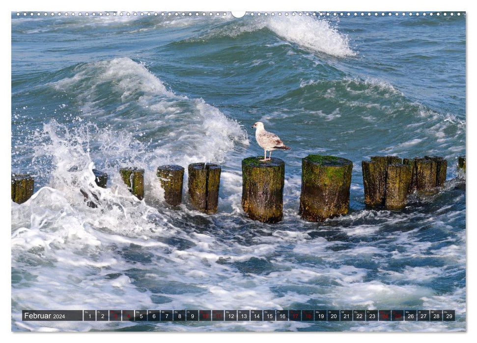 Graal-Müritz, Malerische Küstenmomente (CALVENDO Premium Wandkalender 2024)