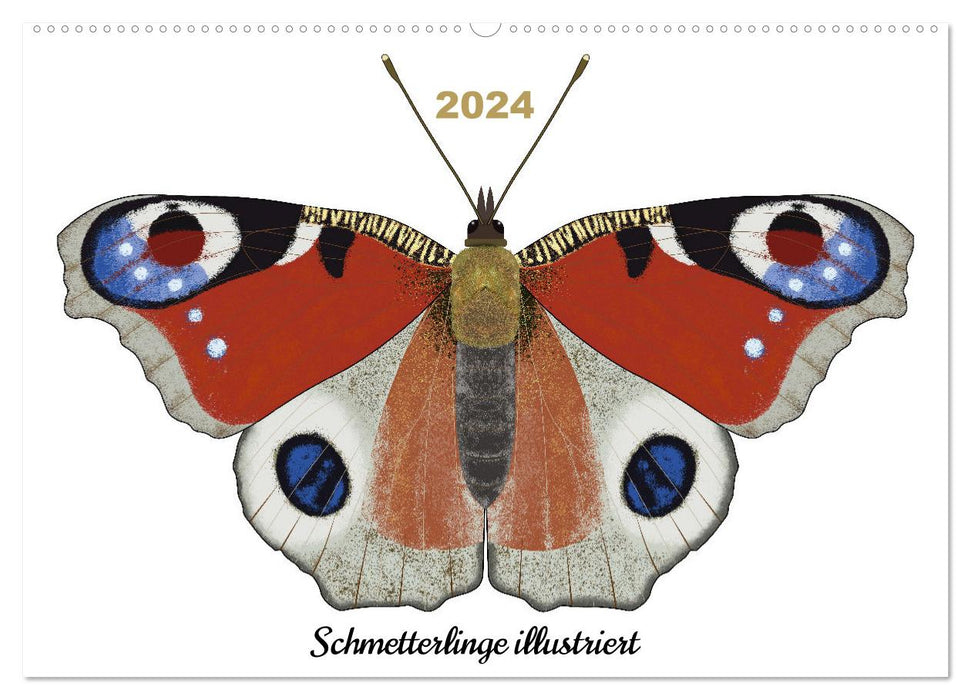 Schmetterlinge illustriert (CALVENDO Wandkalender 2024)