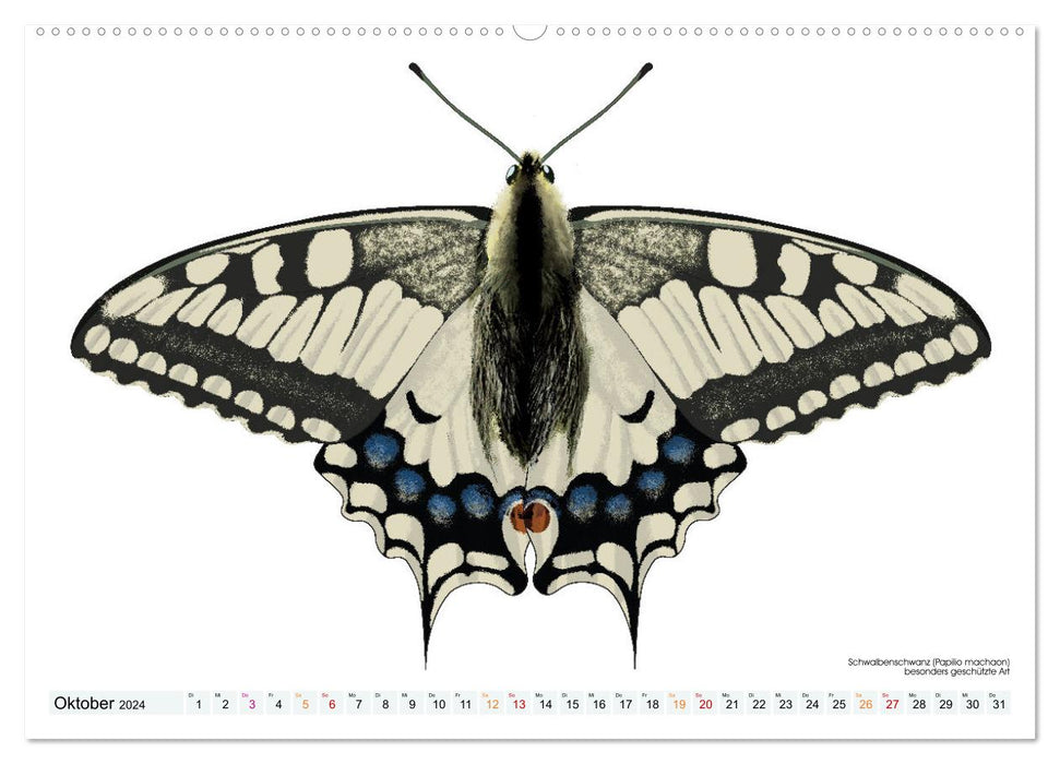 Papillons illustrés (Calendrier mural CALVENDO 2024) 