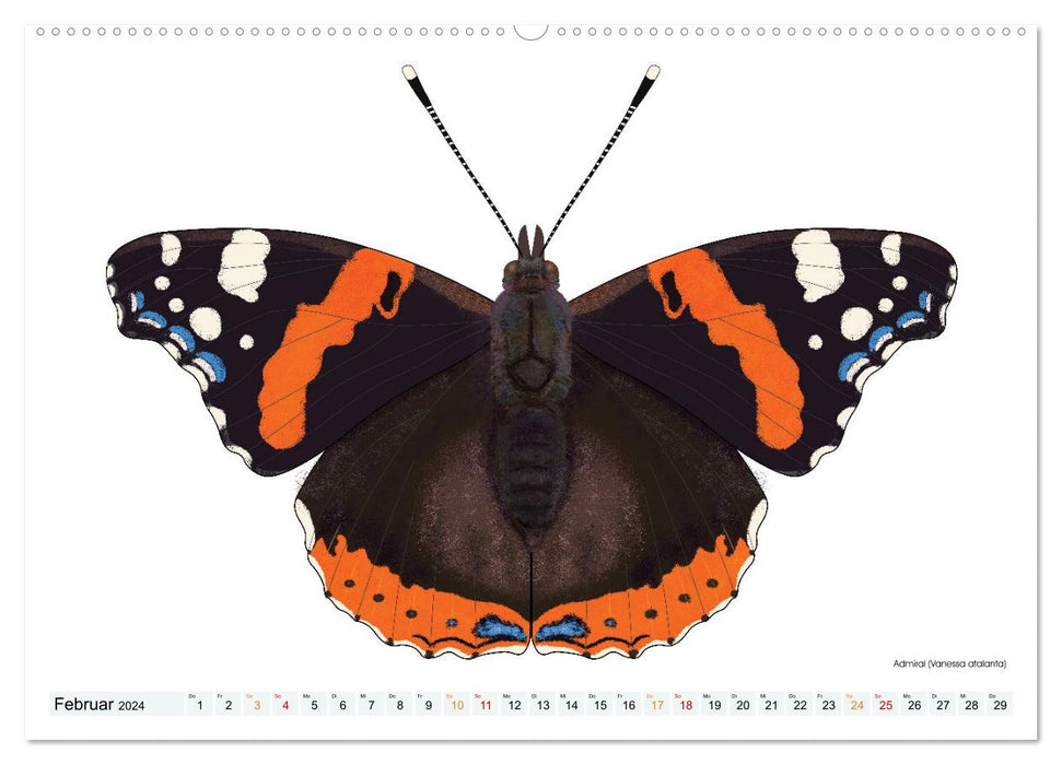 Schmetterlinge illustriert (CALVENDO Wandkalender 2024)