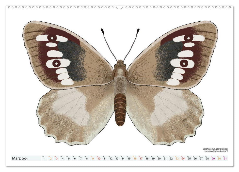 Schmetterlinge illustriert (CALVENDO Wandkalender 2024)