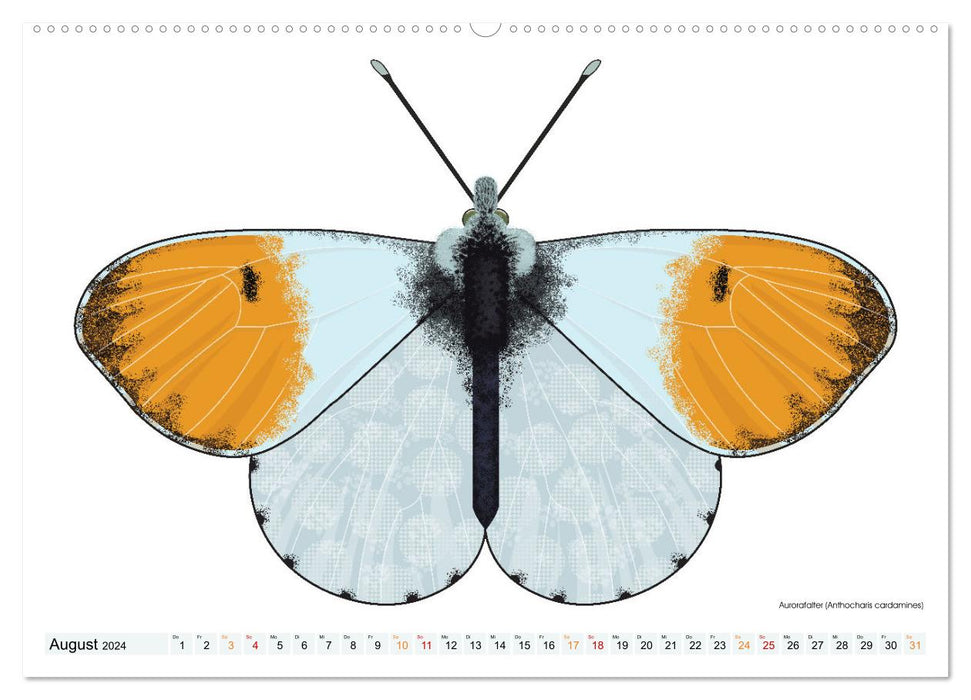 Papillons illustrés (Calendrier mural CALVENDO 2024) 