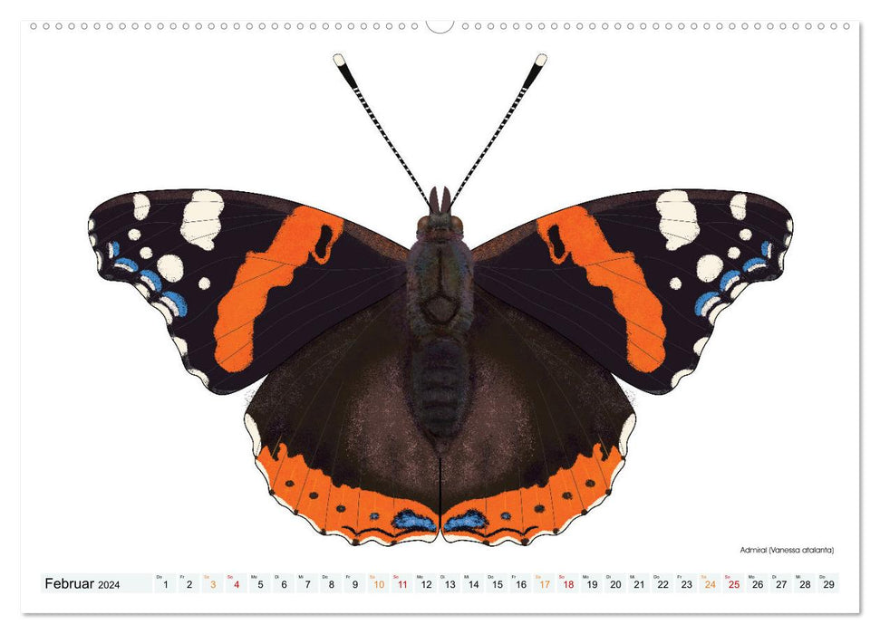 Schmetterlinge illustriert (CALVENDO Premium Wandkalender 2024)