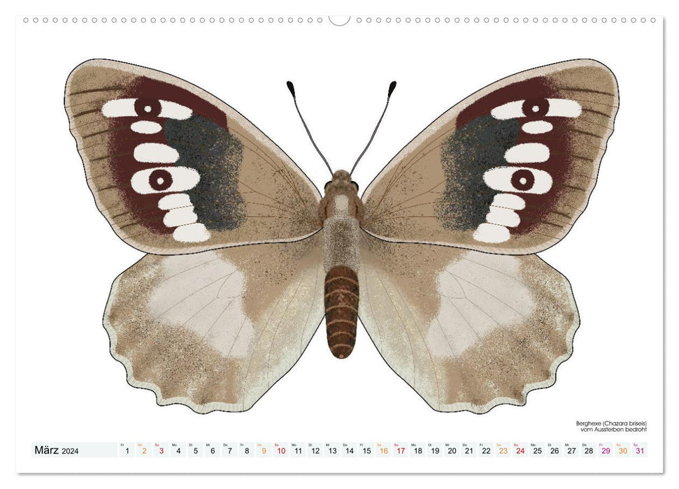 Schmetterlinge illustriert (CALVENDO Premium Wandkalender 2024)