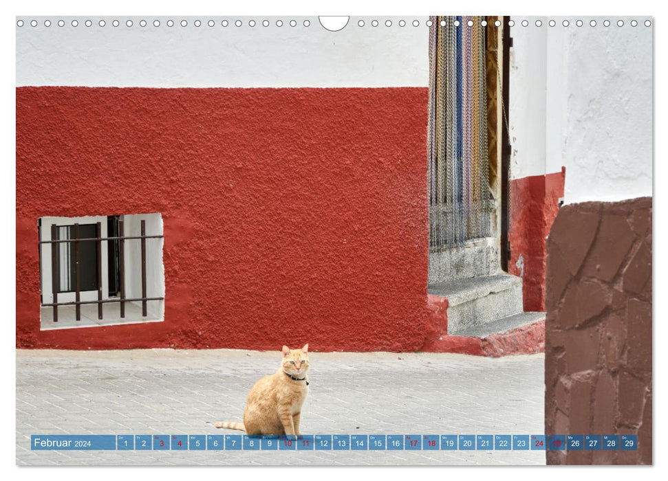 Conil de la Frontera - Impressions of a city on the Atlantic (CALVENDO wall calendar 2024) 