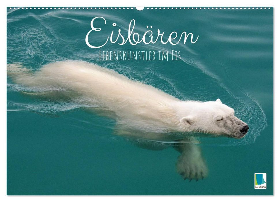 Eisbären: Lebenskünstler im Eis (CALVENDO Wandkalender 2024)
