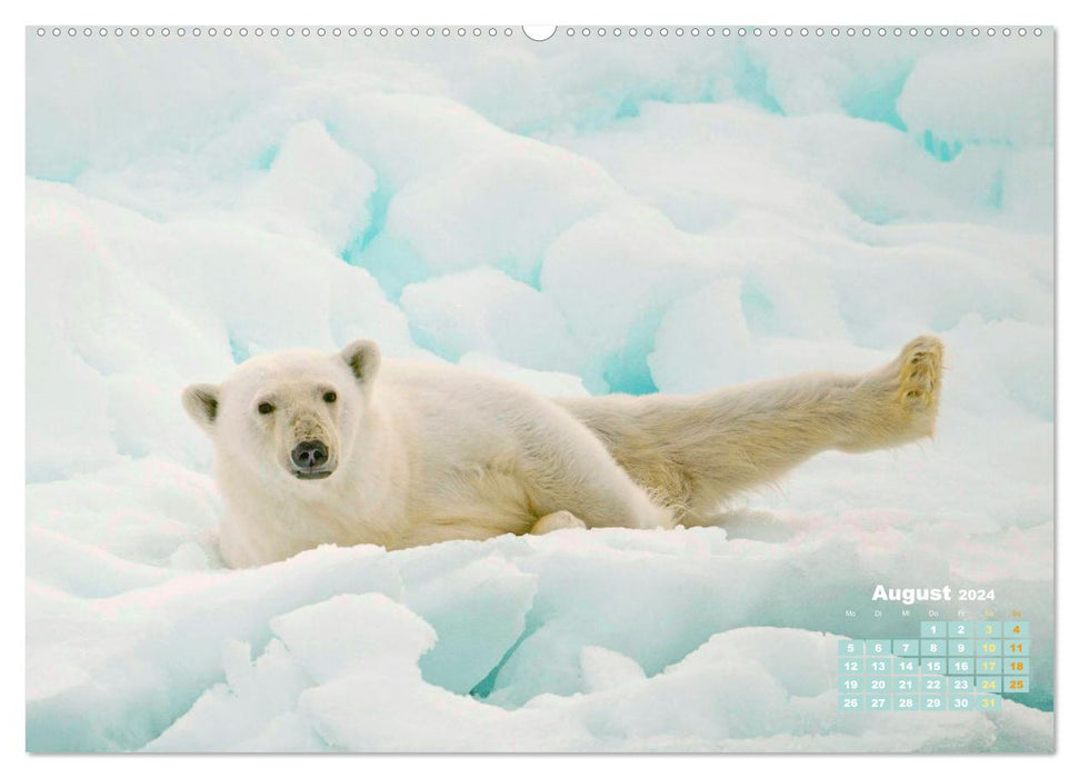 Ours polaires : artistes de la vie dans la glace (Calendrier mural CALVENDO 2024) 