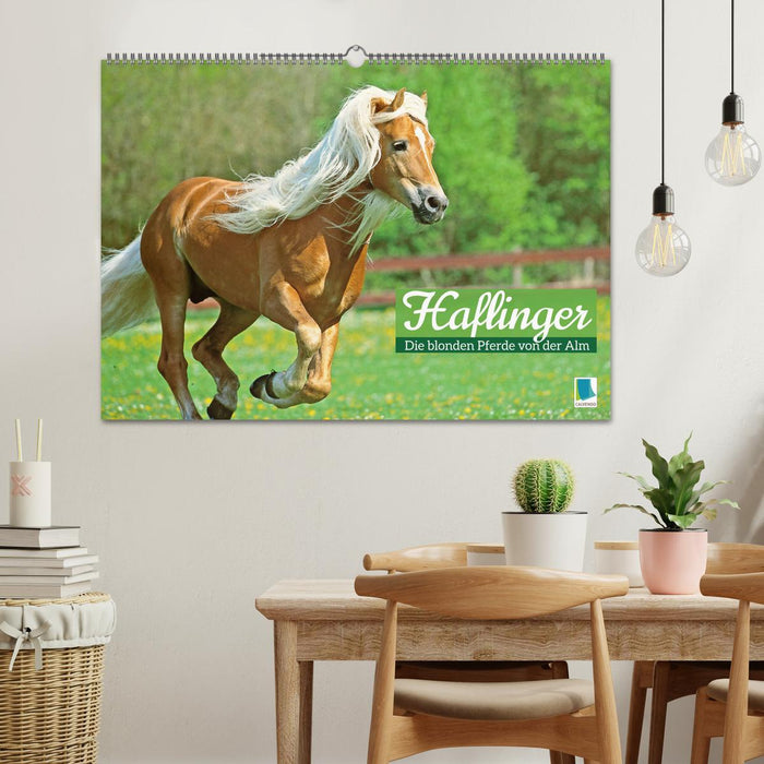 Haflinger: Die blonden Pferde von der Alm (CALVENDO Wandkalender 2024)