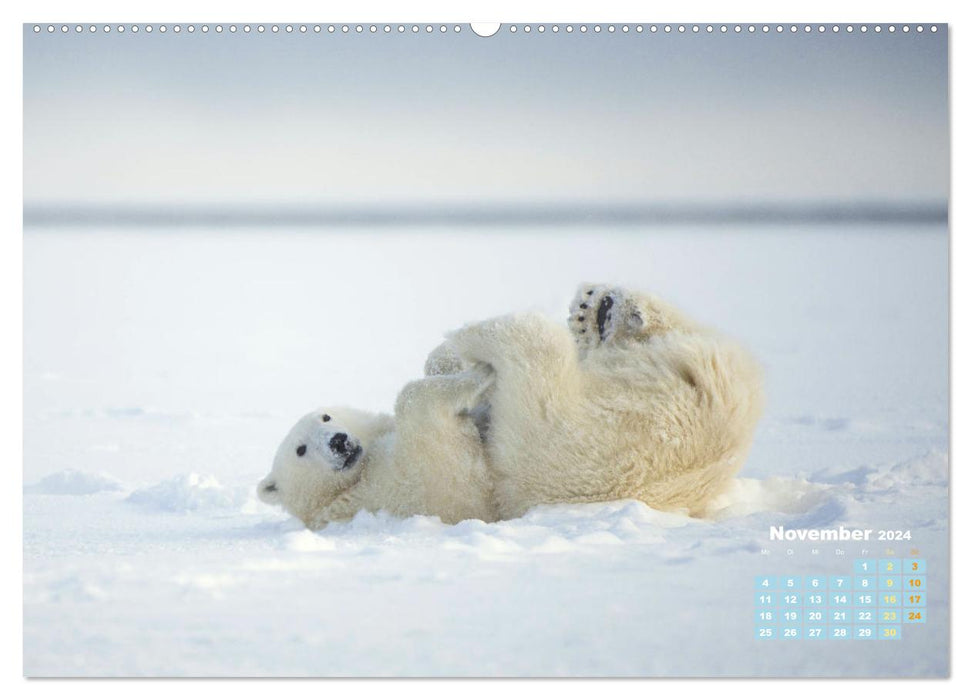 Ours polaires : artistes de la vie dans la glace (Calendrier mural CALVENDO Premium 2024) 