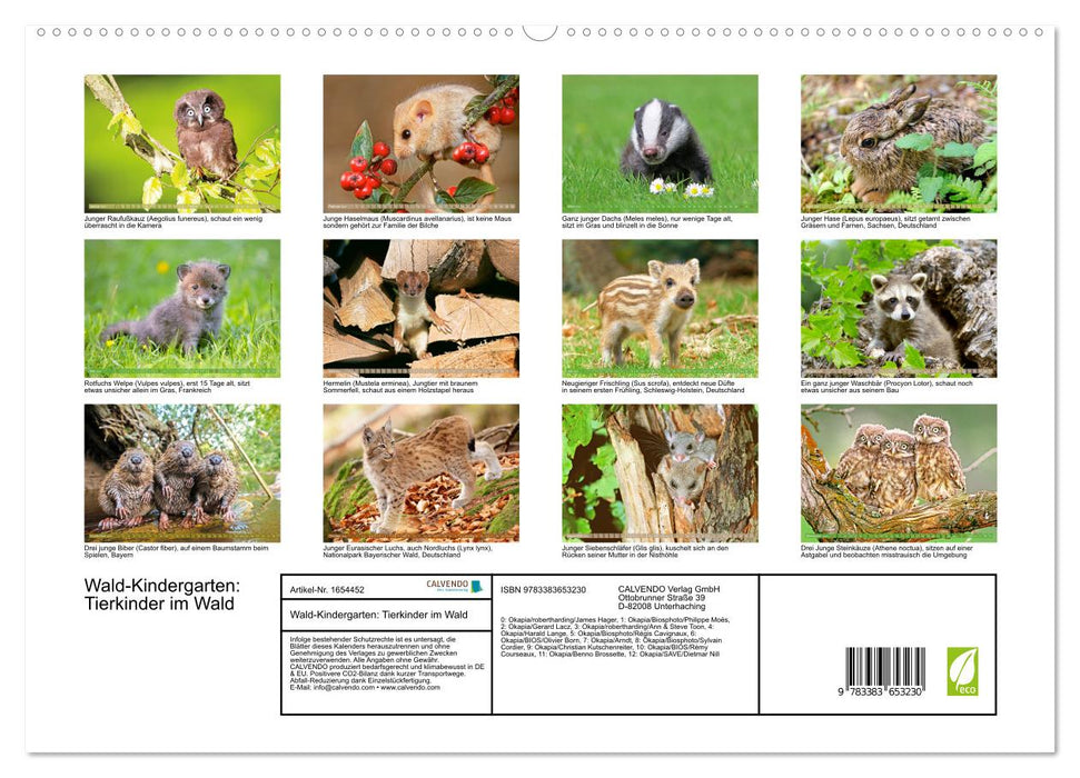 Jardin d'enfants en forêt : Enfants animaux dans la forêt (Calendrier mural CALVENDO Premium 2024) 