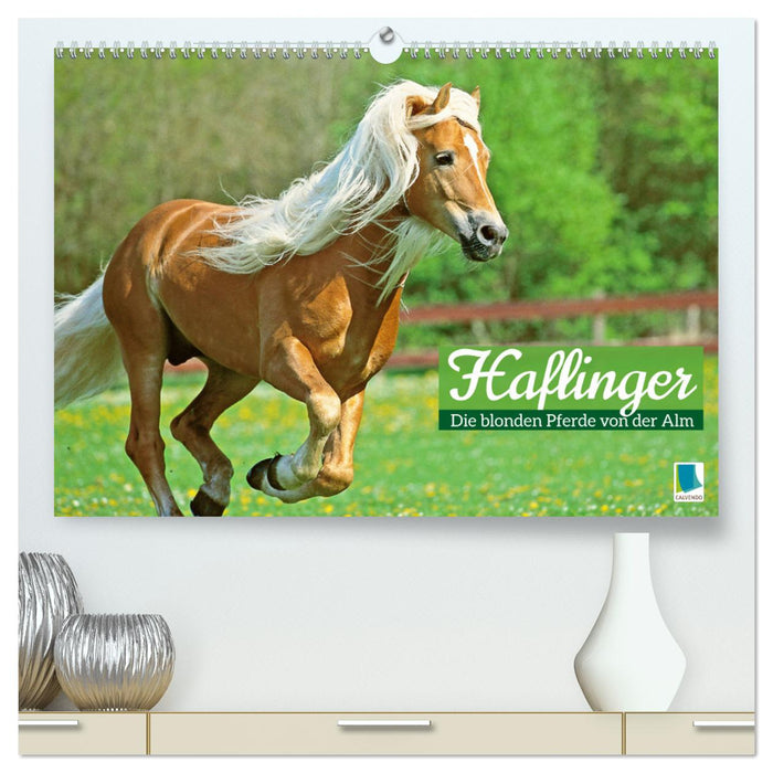 Haflinger : Les chevaux blonds de l'Alm (Calendrier mural CALVENDO Premium 2024) 