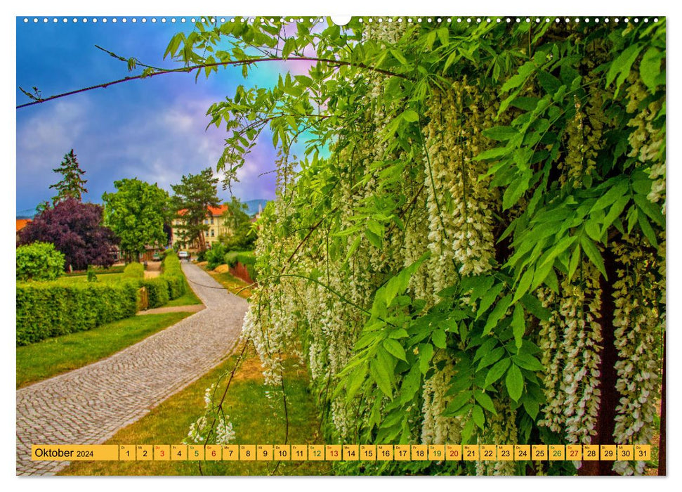 Blankenburg Castle Gardens - A garden walk that fascinates and inspires (CALVENDO wall calendar 2024) 