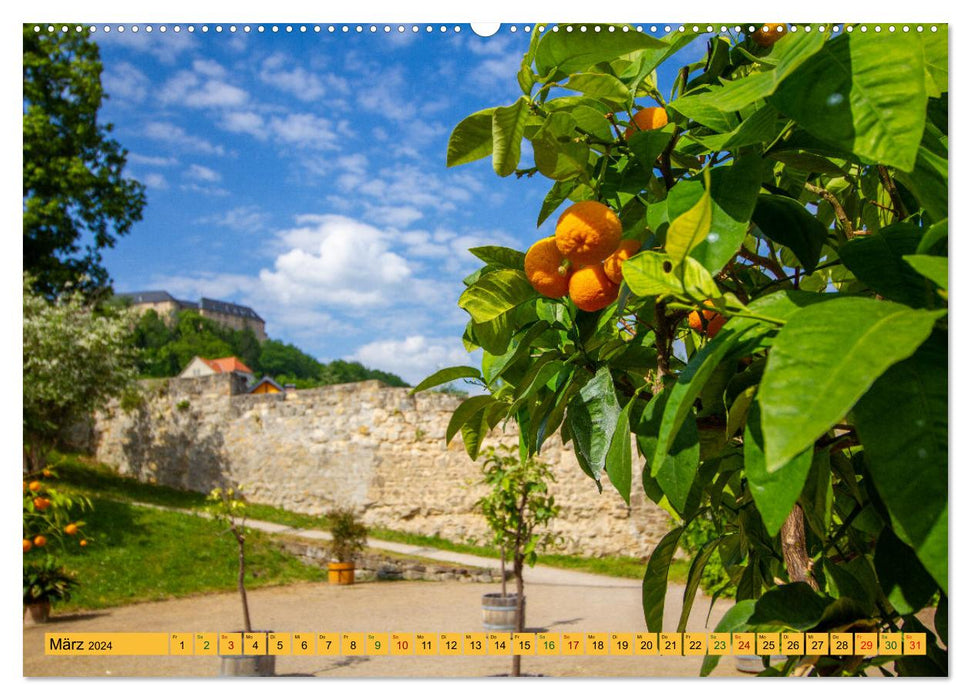 Blankenburger Schlossgärten - Ein Gartenspaziergang der fasziniert und begeistert (CALVENDO Premium Wandkalender 2024)