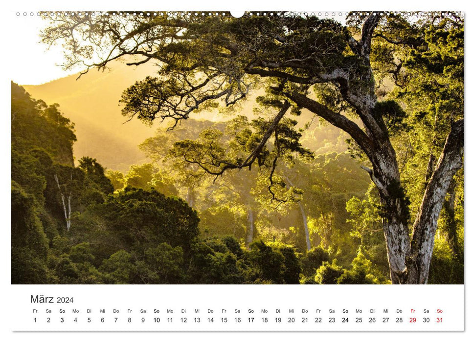 Bezauberndes Südafrika (CALVENDO Premium Wandkalender 2024)