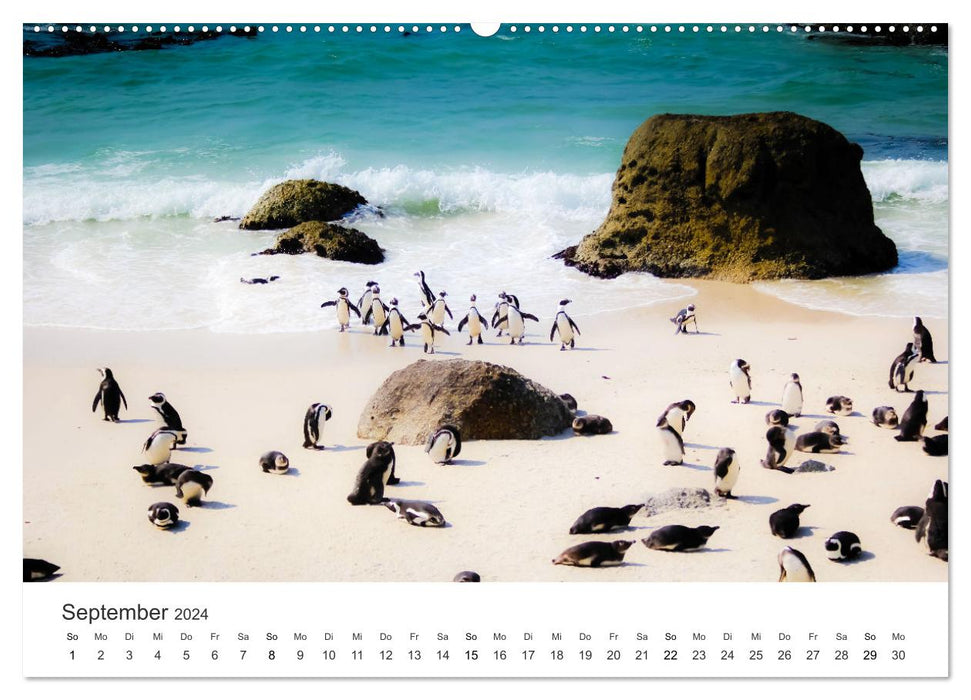 Enchanting South Africa (CALVENDO Premium Wall Calendar 2024) 