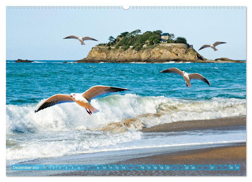 Brittany France's Rustic Peninsula (CALVENDO Wall Calendar 2024) 