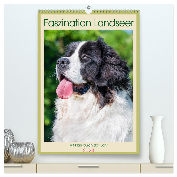 Faszination Landseer - Mit Plan durch das Jahr (CALVENDO Premium Wandkalender 2024)